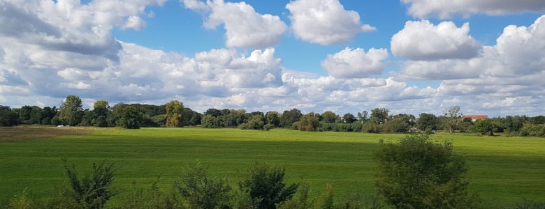 Blick aus dem Zug in Richtung Halle(/Saale